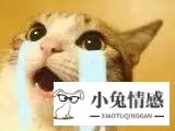 学神的表白方式不要图