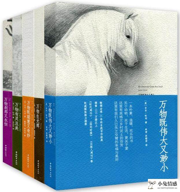 提升女人魅力的书_提升女人魅力的书_提升教师魅力