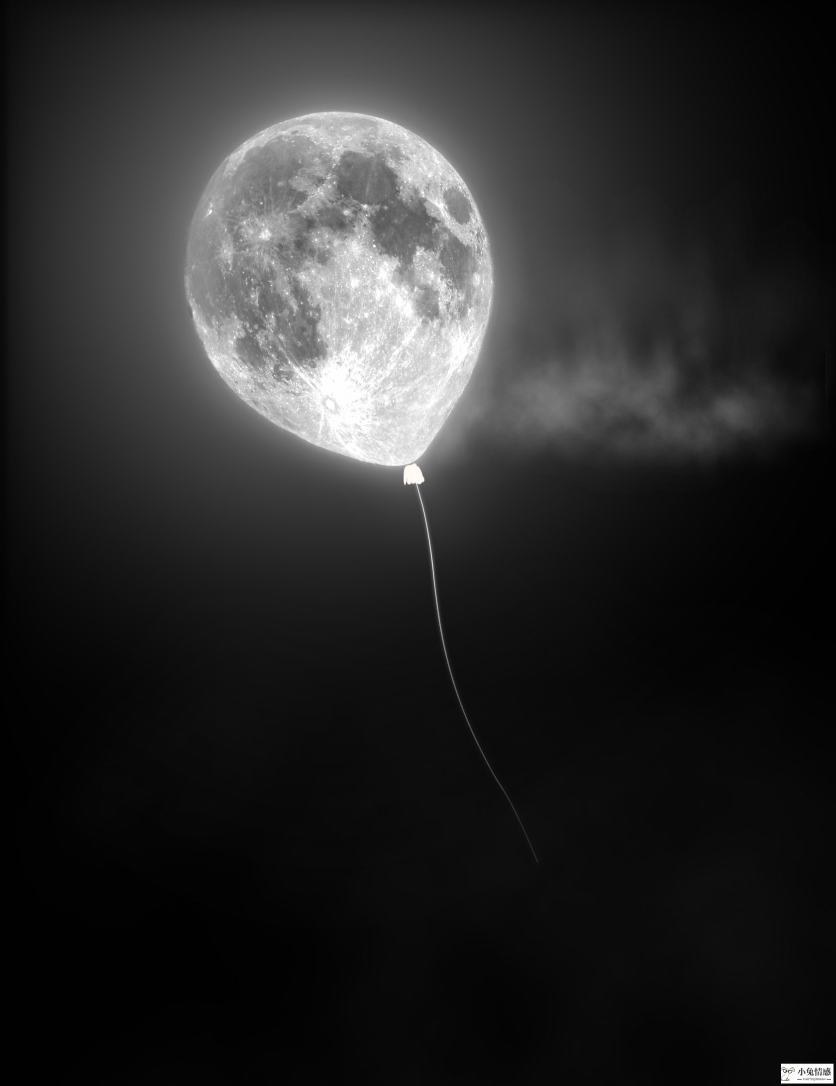 月亮星座情感