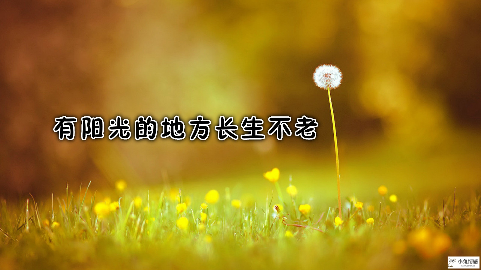 追一个女孩子到什么地步就可以适可而止了？