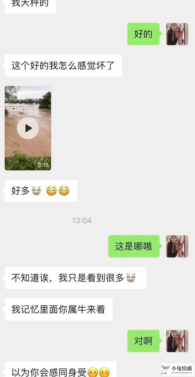 高情商的男女聊天记录