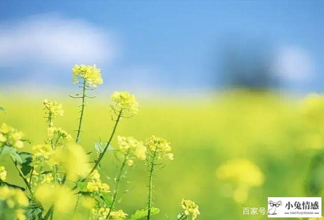 女人老公死后自己有什么想法