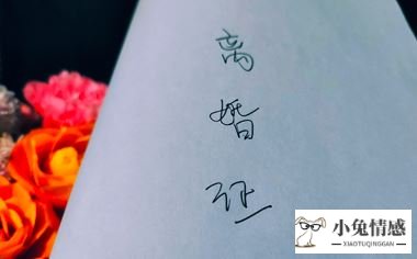 家暴离婚诉讼书范文