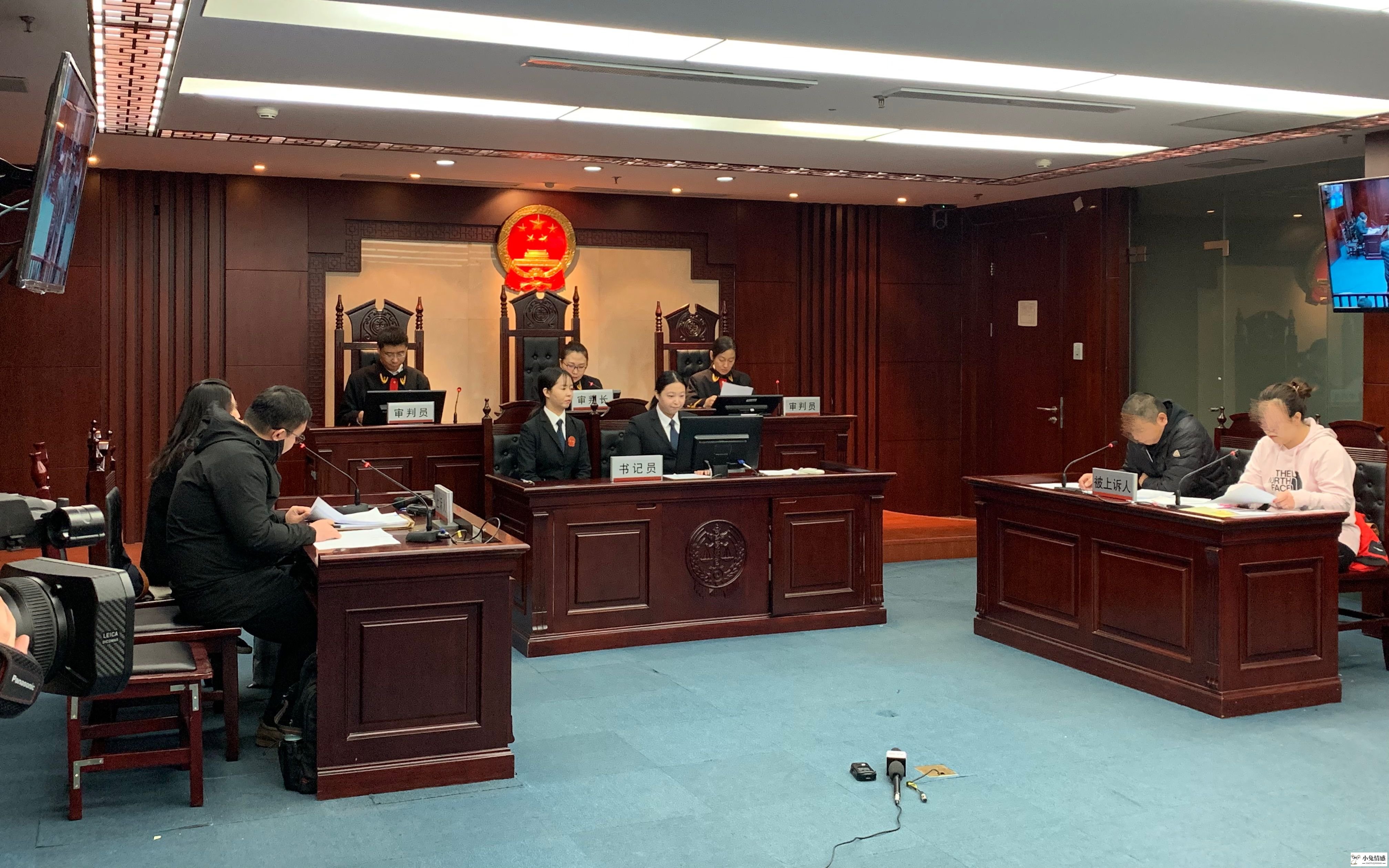 离婚可以诉讼离婚吗_刑事附带民事诉讼开庭笔录_离婚诉讼开庭笔录