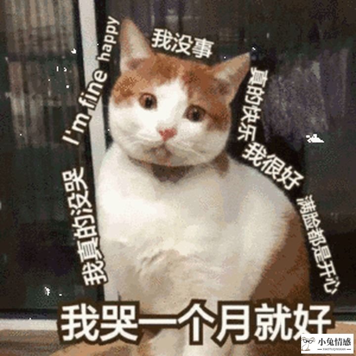 异地恋男友开始冷淡