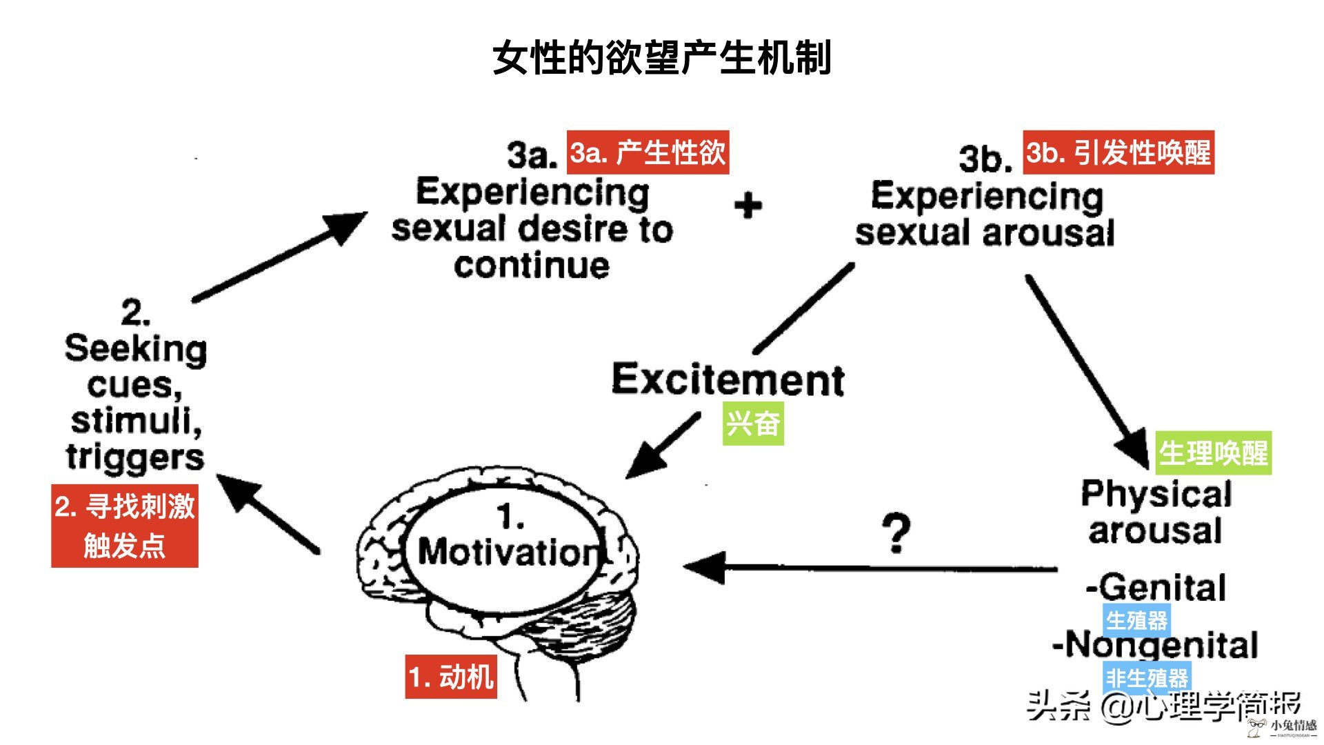 加拿大心理学家：女人的性心理发展规律｜欲望由自发转为被动引导