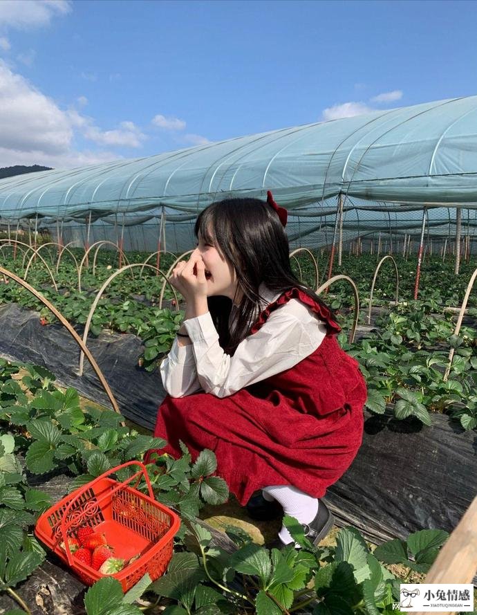 异地恋女友越来越冷淡