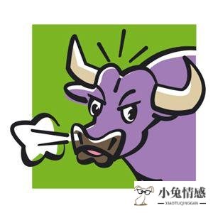 金牛座会主动化解矛盾吗