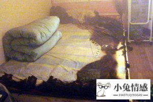 老婆出轨怎么办_吴彦祖老婆出轨_46岁老婆出轨