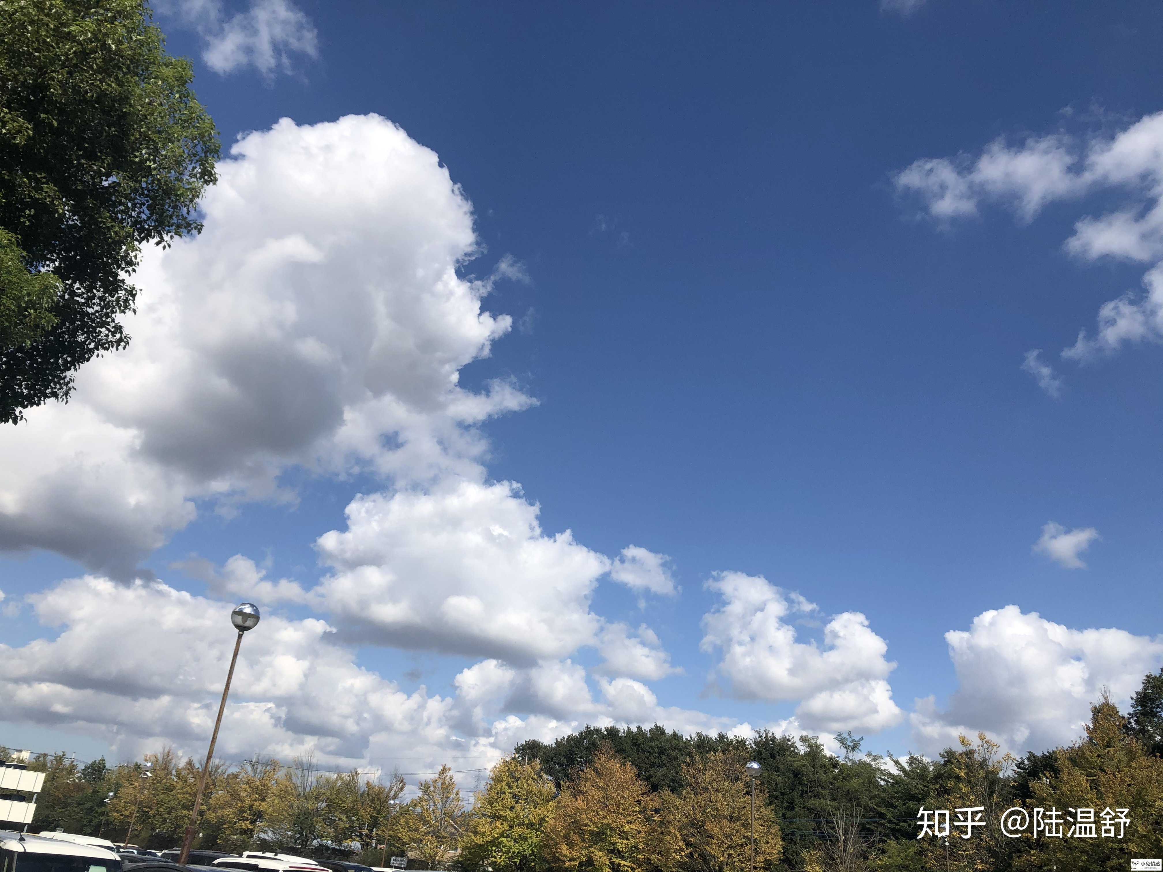 离婚女可以追求未婚优质男吗