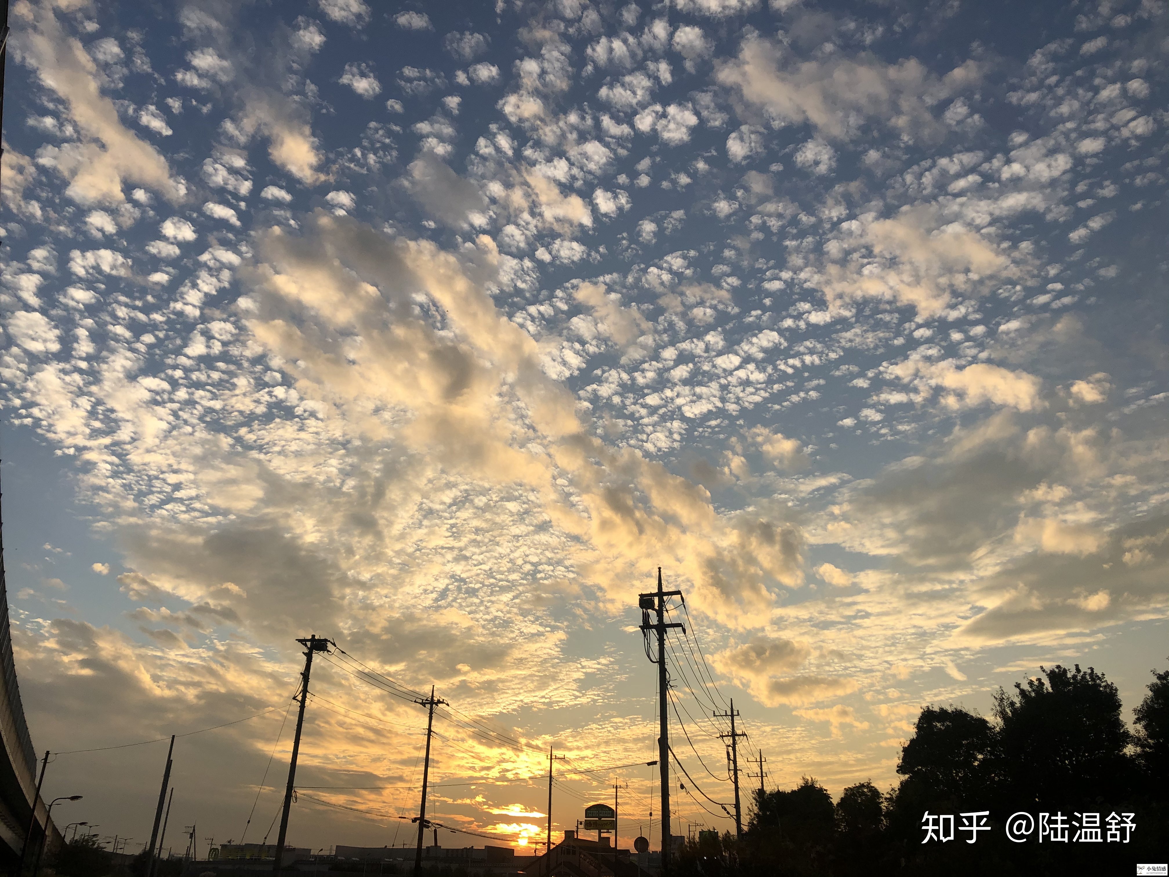 离婚女可以追求未婚优质男吗