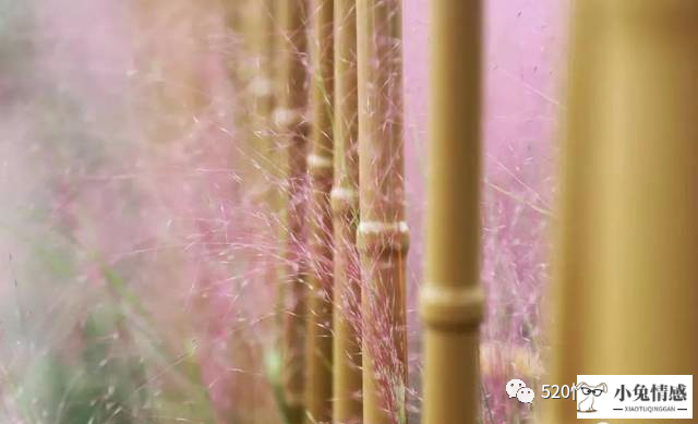 和老公离婚了怎样挽回