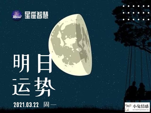 星座情感运势2016_2016年运势星座运势查询_小乖麻2016年星座运势