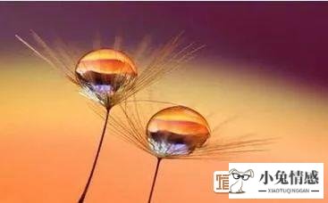 一个女的苦苦挽回男友的几率有多大