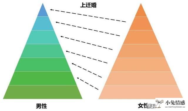 优质男追求