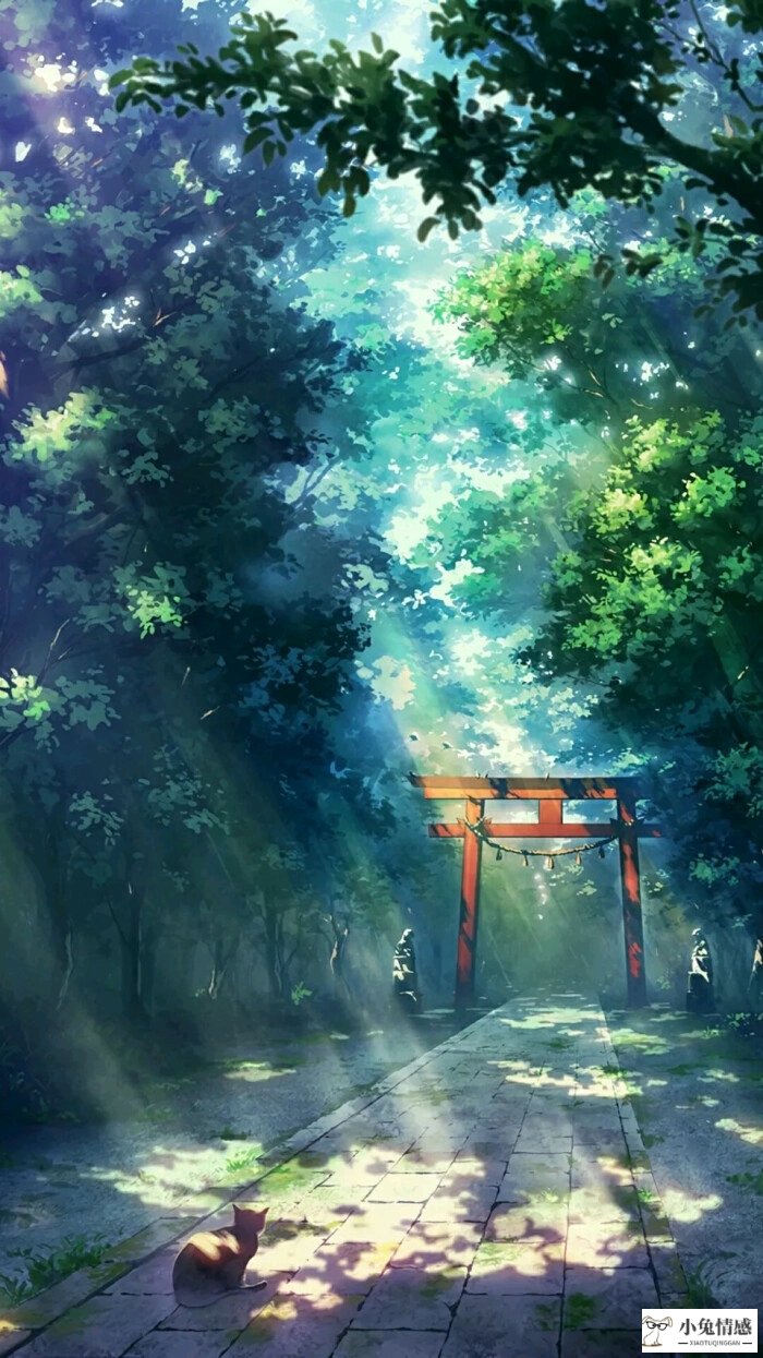 星座情感系