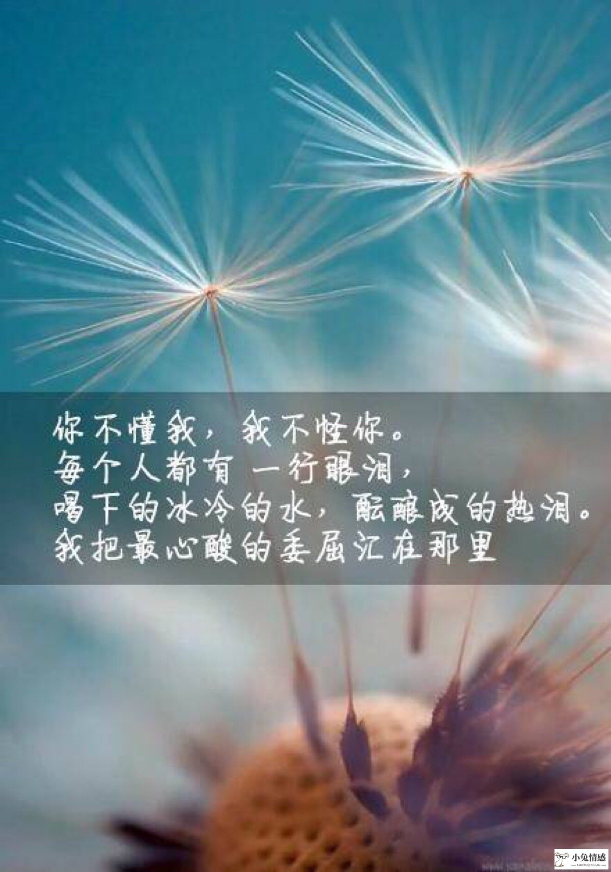 给老婆买礼物_男人，让我，帮他老婆买礼物_买什么礼物挽回老婆