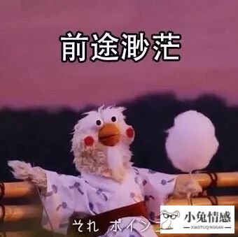 怎么追求优质离异男