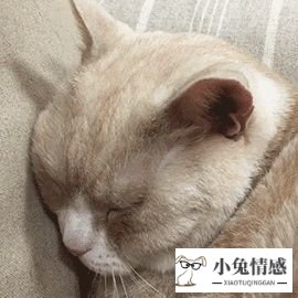 图书馆搭讪技巧