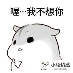 女生主动追求优质男