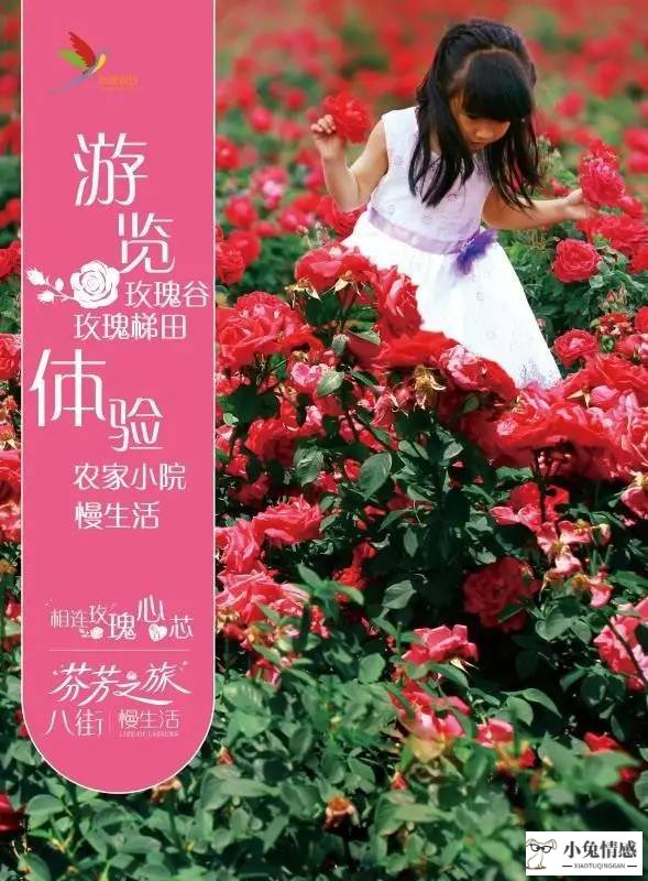 异地军恋吧_异地恋如何给对方惊喜_异地军恋怎么聊天