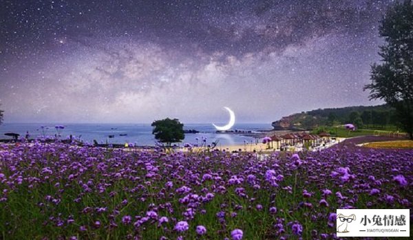 星座情感运势