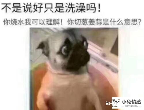 高情商追女孩聊天术
