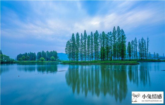 老公出轨提出离婚怎么办