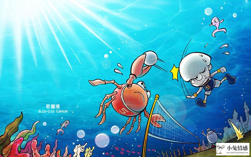 星座情感巫师