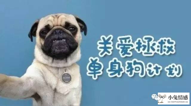 共享经济为什么火
