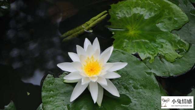 结束一段感情，十二星座会保留什么？白羊是情书，水瓶是回忆