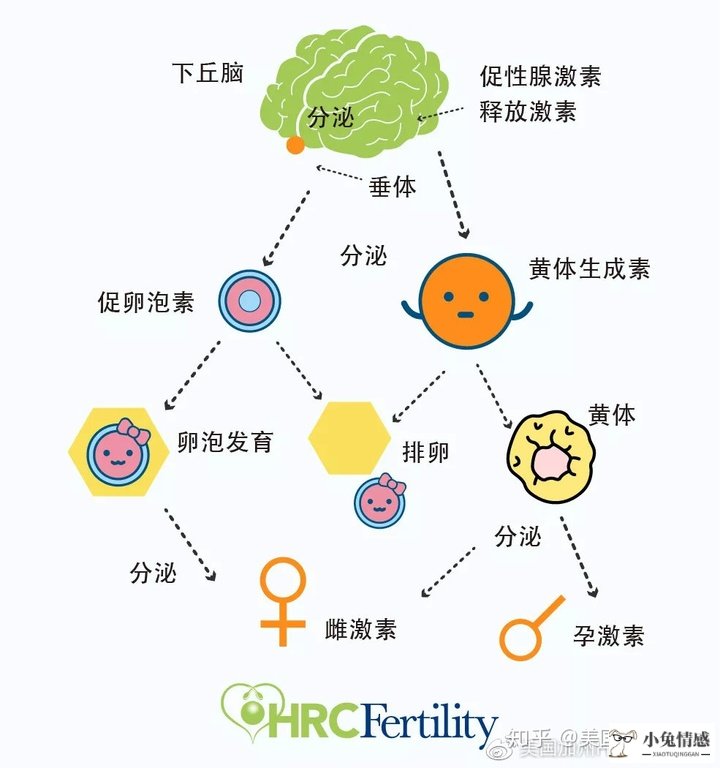 女性潮吹的实用性技巧_男女性生活技巧_夫妻性生活前的女性按摩技巧