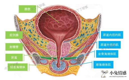 图标