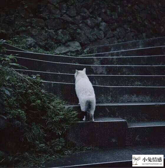 怎么维持恋爱