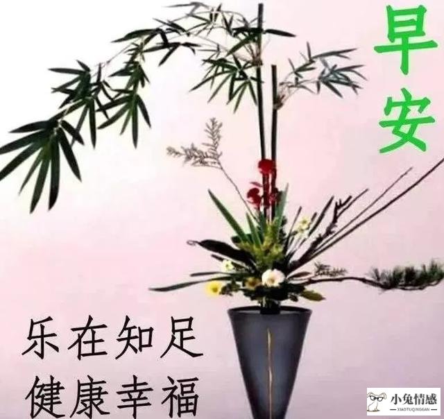 女生早上吃什么早餐好_高情商跟女生说早上好_智商高好还是情商高好