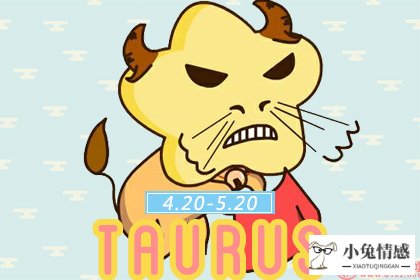 金牛