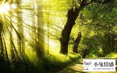 一句话挽回爱情的句子精选40句