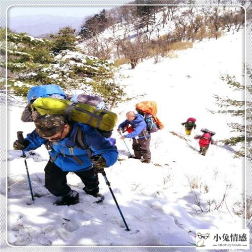 放风筝的孩子（放风筝的小男孩）