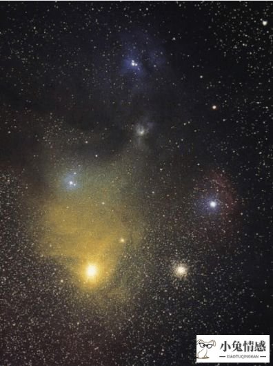 星座情感巫师_12星座2014情感运势_情感最丰富的星座