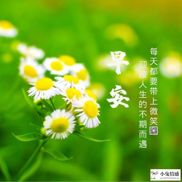 智商高好还是情商高好_高情商说早安_测你智商高还是情商高