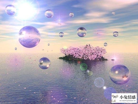 【阳光】十二星座的守护花,你中了哪个?