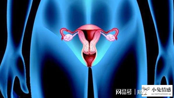 子宫被切除后果是什么_子宫切除老公出轨_子宫次切除后有什么后遗症
