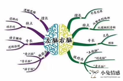 猫智商高还是狗智商高_智商高还是情商高测试_提升高智商的技巧