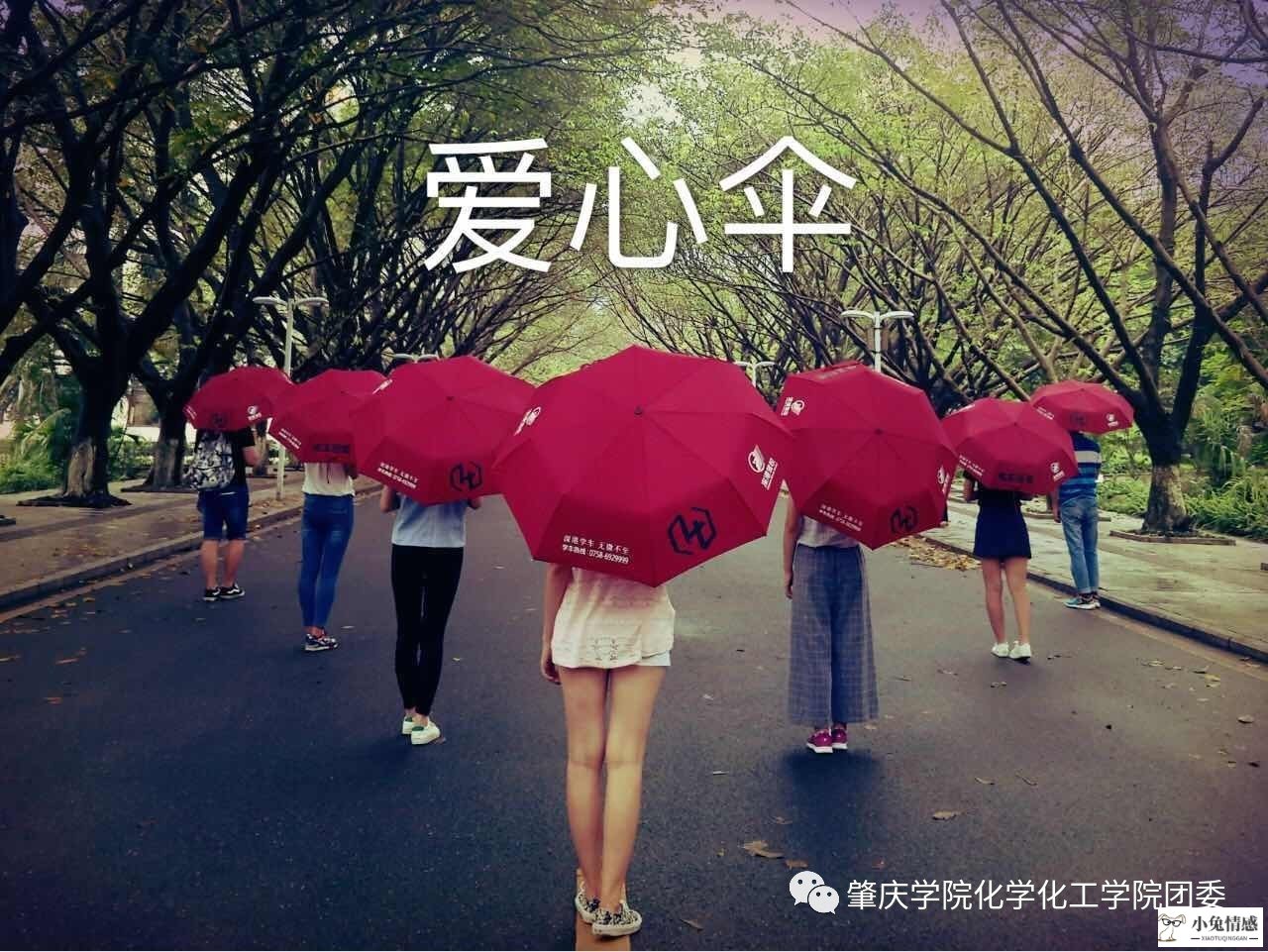 喜欢一个女孩表白技巧_表白好技巧_我有特殊的表白技巧