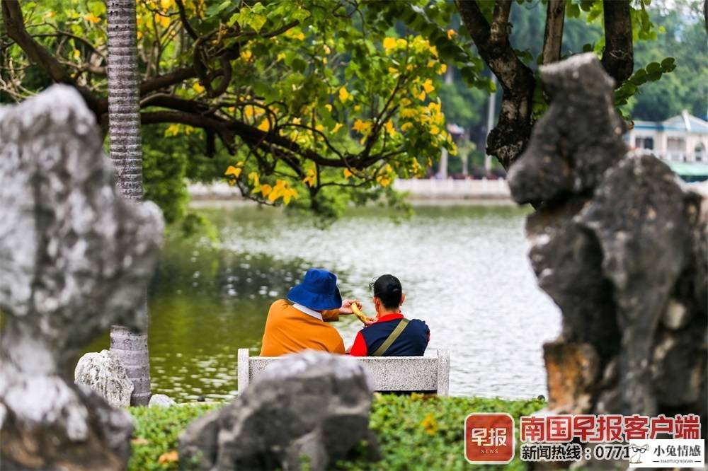 老年人相亲调查 | 南宁老年人相亲那些“名场面”
