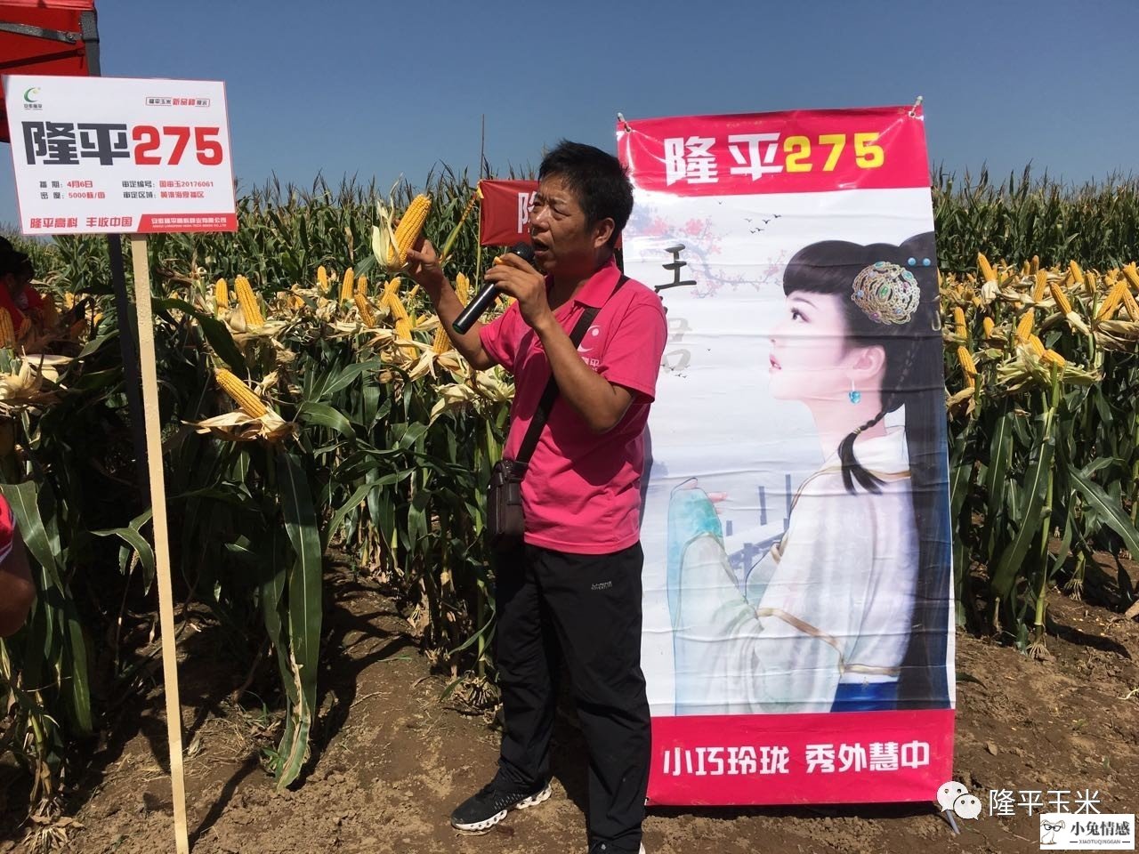 我能找到比自己条件好一点的老公吗？