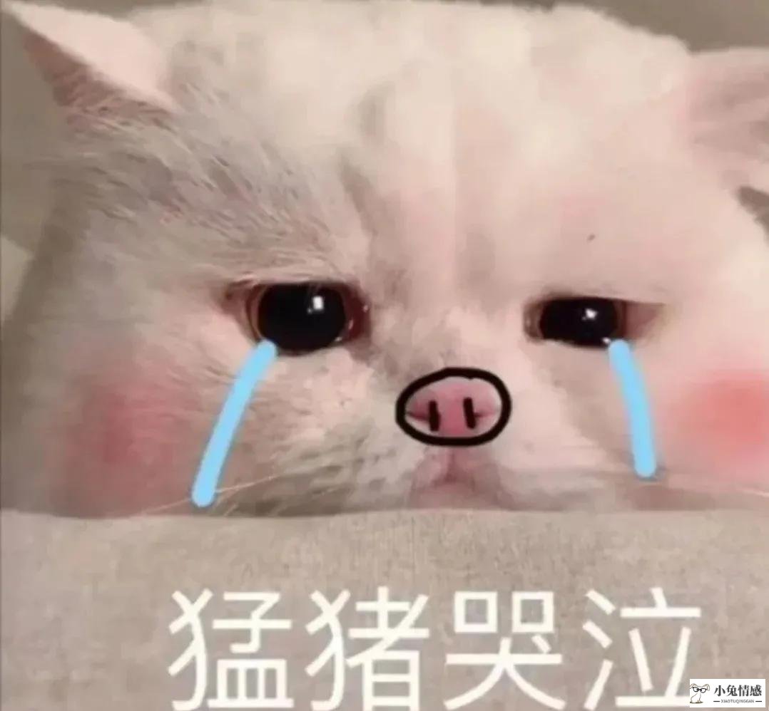 <b>相亲聊天话题大全｜最实用干货拿去</b>