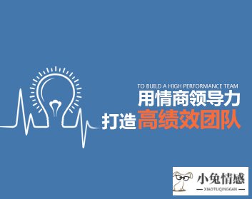 提升高智商的技巧_双子座智商高还是情商高_测试你情商高还是智商高