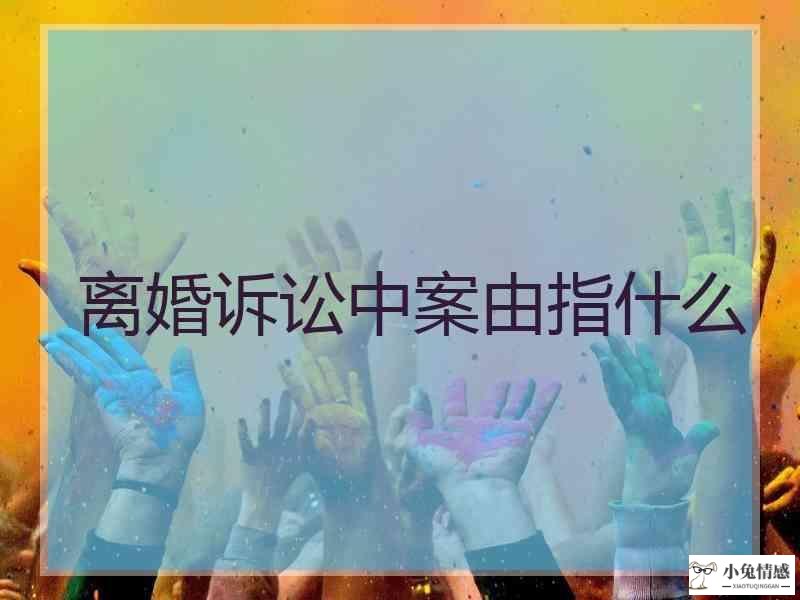 离婚诉讼中案由指什么