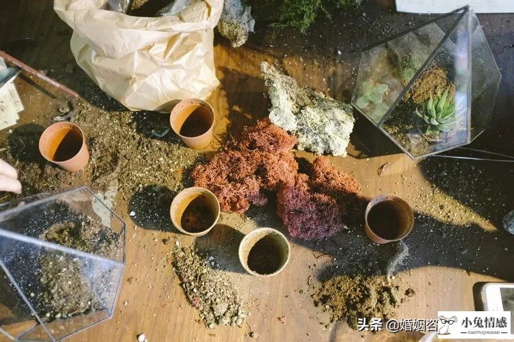 被我忽视了八年的男人，突然要离婚，我还能挽回他的心吗？